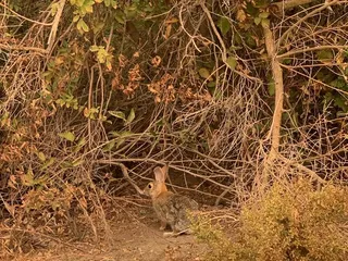 San Joaquin River Wildlife Refuge