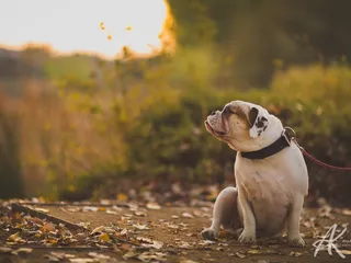 Mountain House Creek Recreation Area