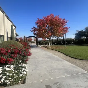 View of grounds towards parking lot