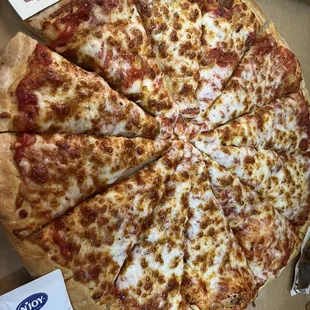 Cheese extra cheese pizza