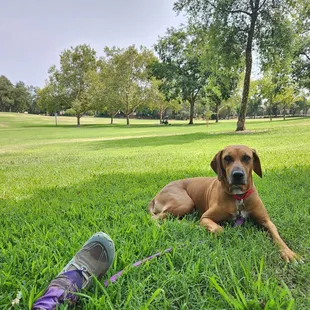 San Juan Park is great. Wide open. Playground, pickleball, tennis, toilets, water fountain (human/dog). Space for all. 7/28/24