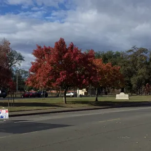 San Juan Park across from 5424 Mariposa Ave, Citrus Heights, CA $299,000