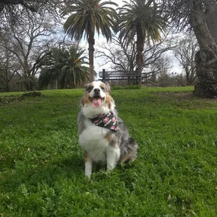 The benches are spread out through out the park. This one is at the top of the hill.