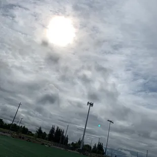 Come on out sunshine