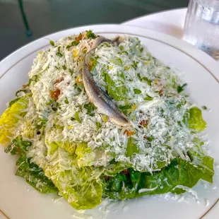 Caesar Salad