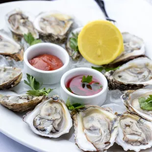 oysters and mussels, mussels, food, shellfish, oysters