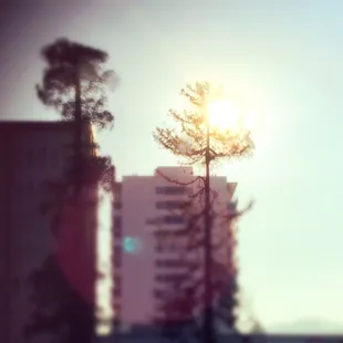 Looking from Ice Rank