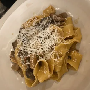 Pappardelle Funghi