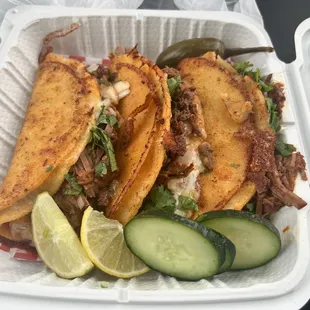 quesobirria tacos