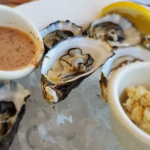 Oysters!