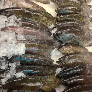 bbq ribs, ribs, food