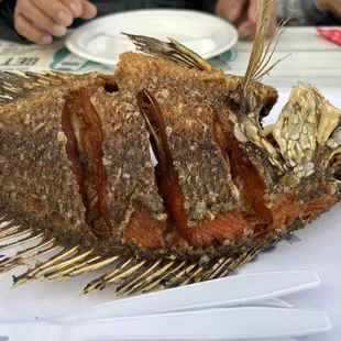 Fried Tilapia