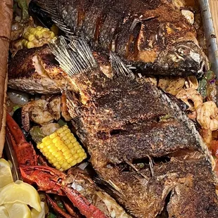 Alamitos Tray with 2 fried tilapia