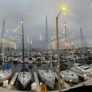 Nice view of the marina