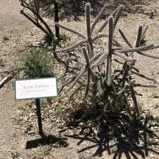 Many plants are identified.