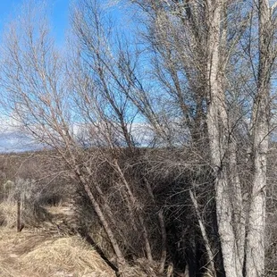 Near Murray Springs