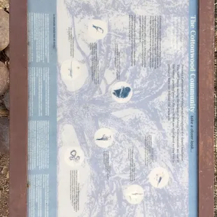 Cottonwood Tree History