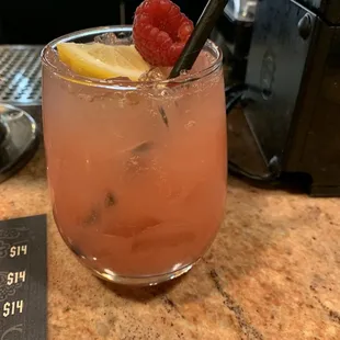 Raspberry Hang Glider 2-23