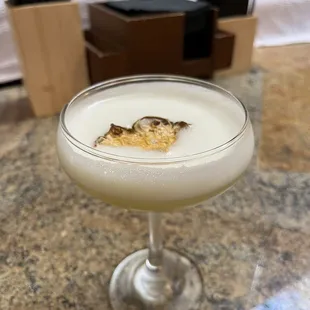 a cocktail in a coupe glass