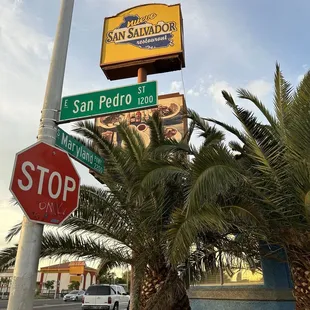 stop sign and palm tree