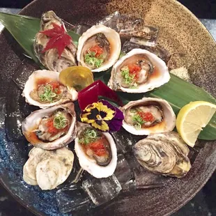 oysters, food, oysters and mussels, mussels, shellfish