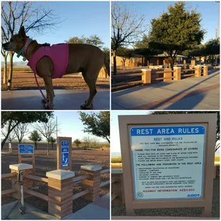 San Simon Rest Area (Milepost 388 on I-10 EB ... AZ)
