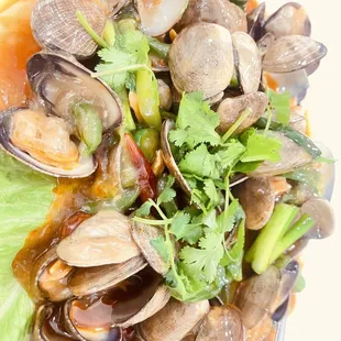 Best claims in San Francisco, noodles are good too. Every time I come here, always order these two dishes