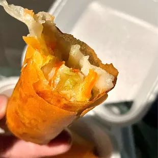 Inside of a fried spring roll