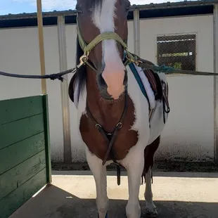 Crosstie area is very clean