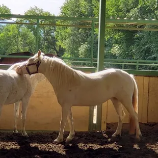 They love each other