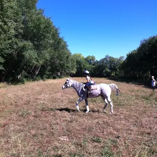Pasture playtime!