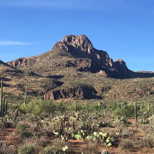 View of Safford Peak