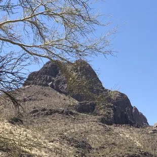 Beautiful day for a hike