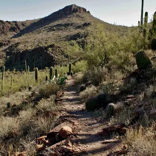 View from the trail.
