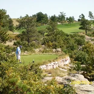 #12 Elk Tee (taken from Rattlesnake Tee)