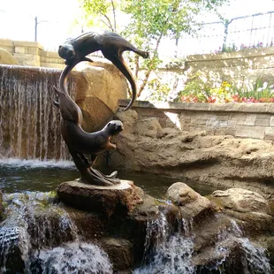 The water fountain at the club house