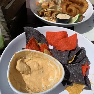 Buffalo chicken dip, fish tacos with onion rings in distance