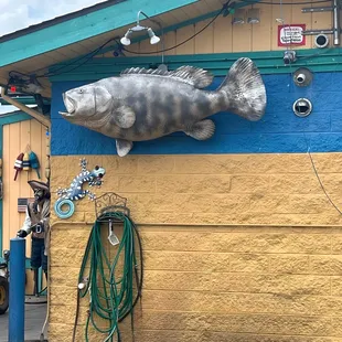 fresh seafood!  well this guy ain't fresh but....