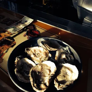 Oysters in November