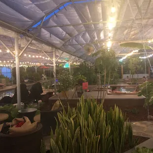 Greenhouse at night