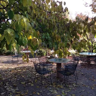 Outdoor seating is perfect for enjoying a piece of pie on a nice afternoon