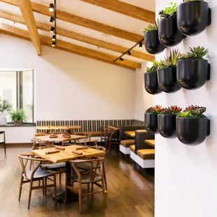 sushi and sashimi, interior