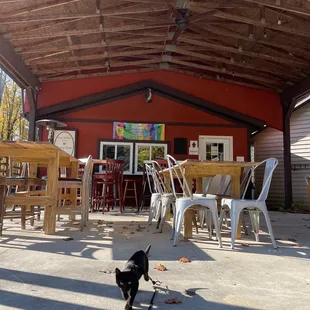 Kyra enjoyed her adventure outside!