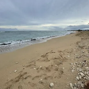 Beach with people playing in the water