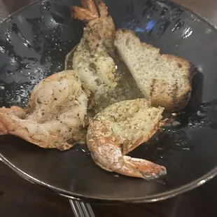 Starter shrimp