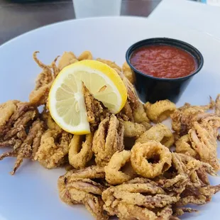 Calamari