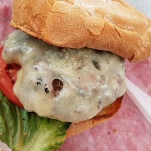 Burger with Provolone Cheese