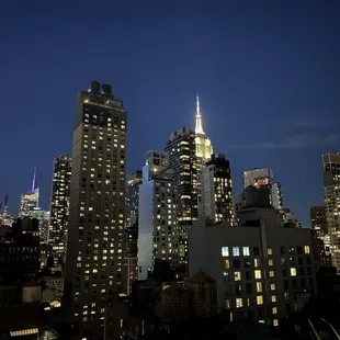 The night Skyland of New York City was worth the visit!