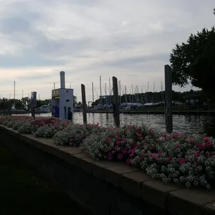a view of the marina