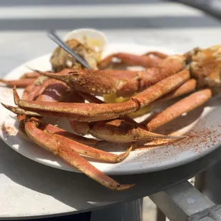 Snow Crab